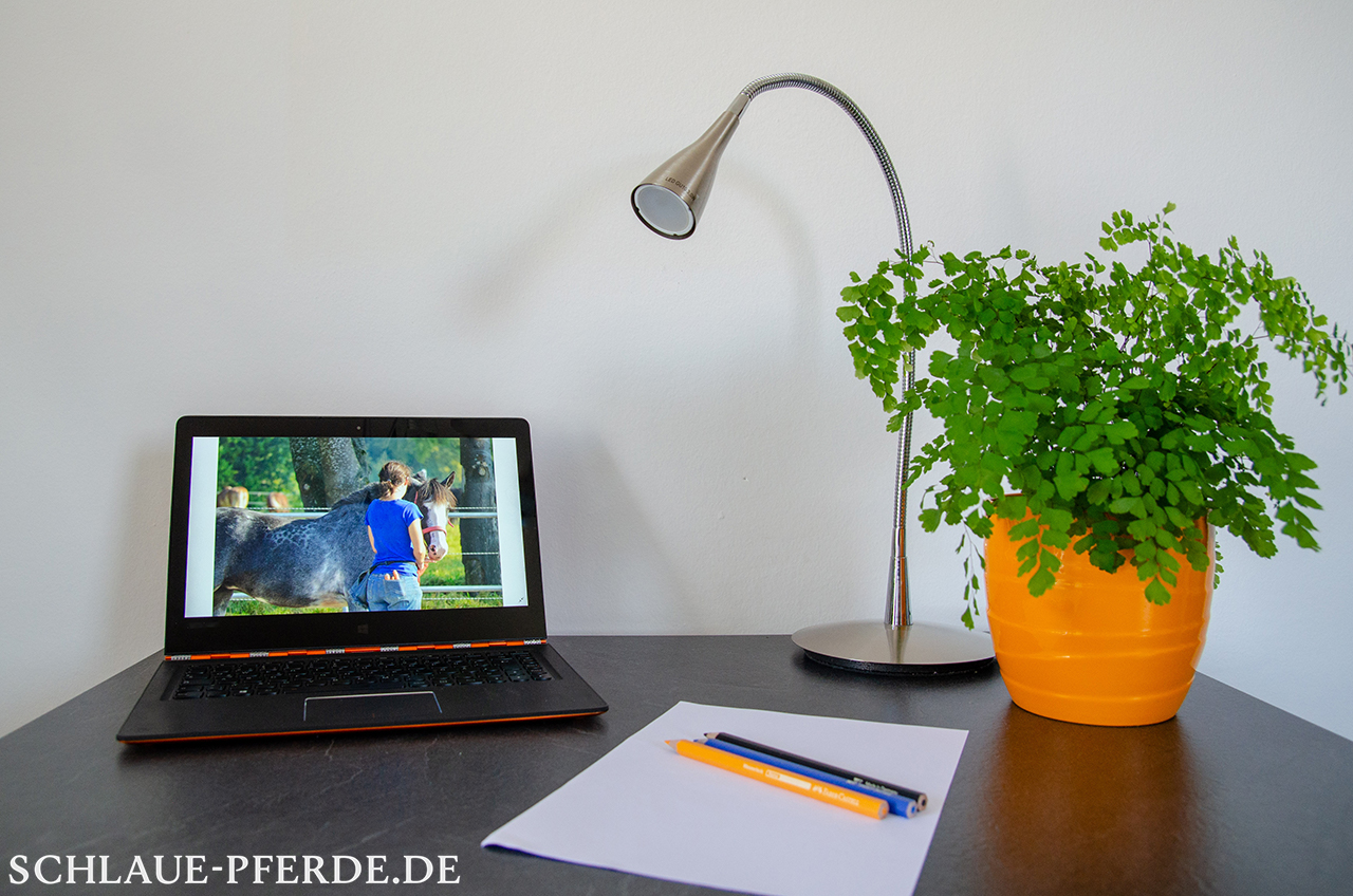 Schreibtisch mit Laptop und Pferdefoto, bereit zum Online Unterricht