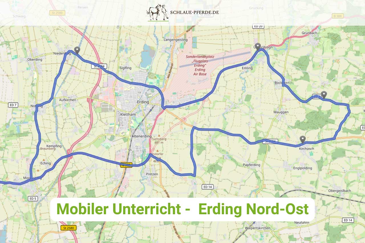 Mobiler Reitunterricht, Pferdetraining, Bodenarbeit, Erding, München Flughafen