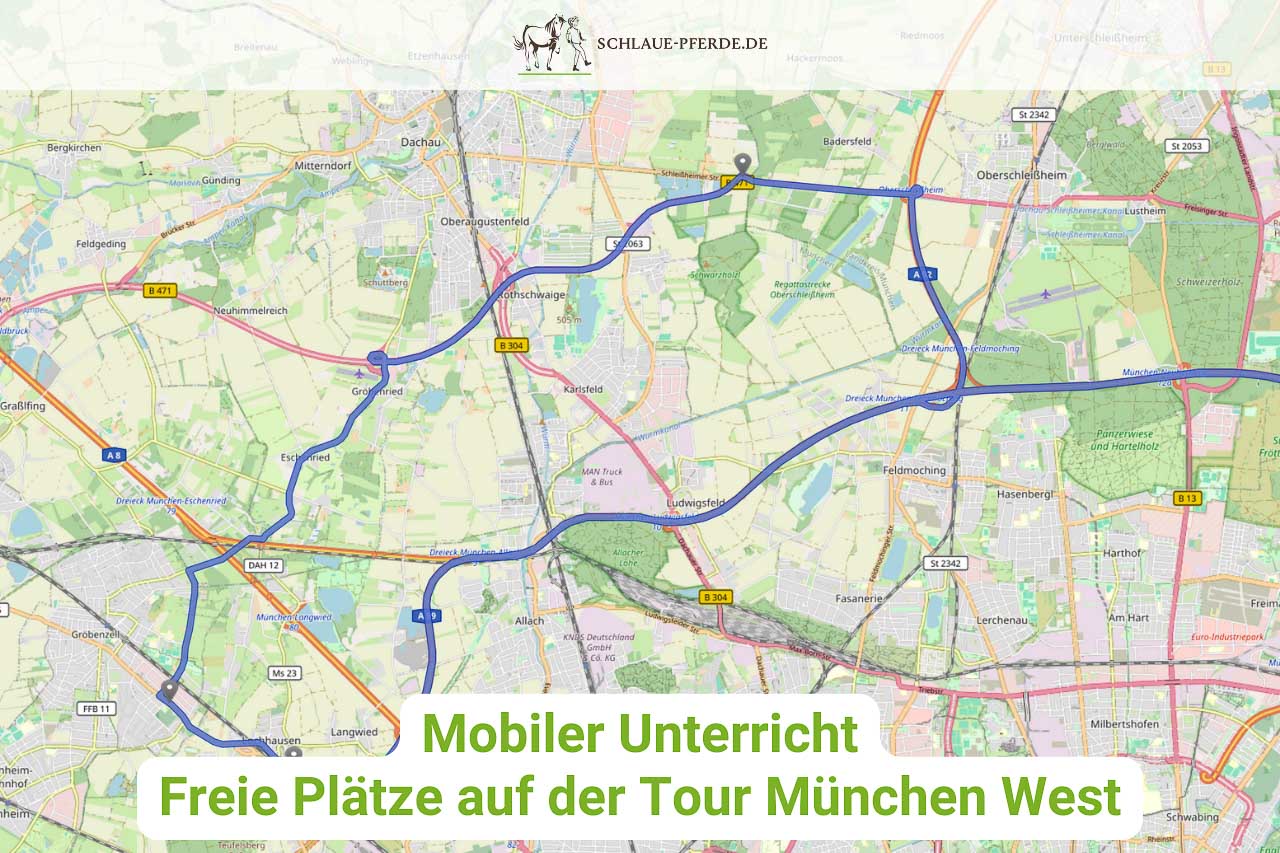 Mobiler Reitunterricht, Pferdetraining, Bodenarbeit, München, Gröbenzell, Puchheim, Dachau