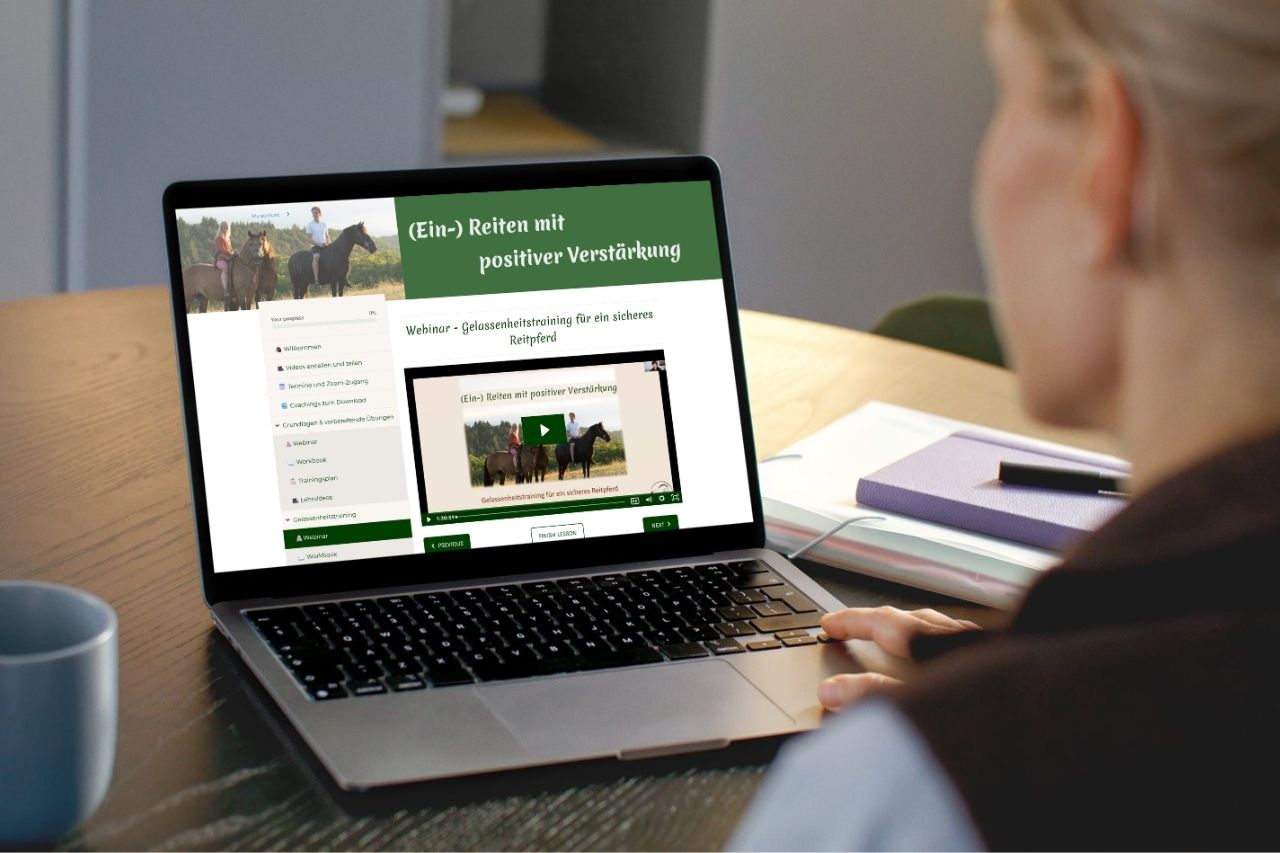 Reiten mit positiver Verstärkung, Clickertraining, Kurs, Online Lernen, Jungpferde ausbilden, Reitpferd