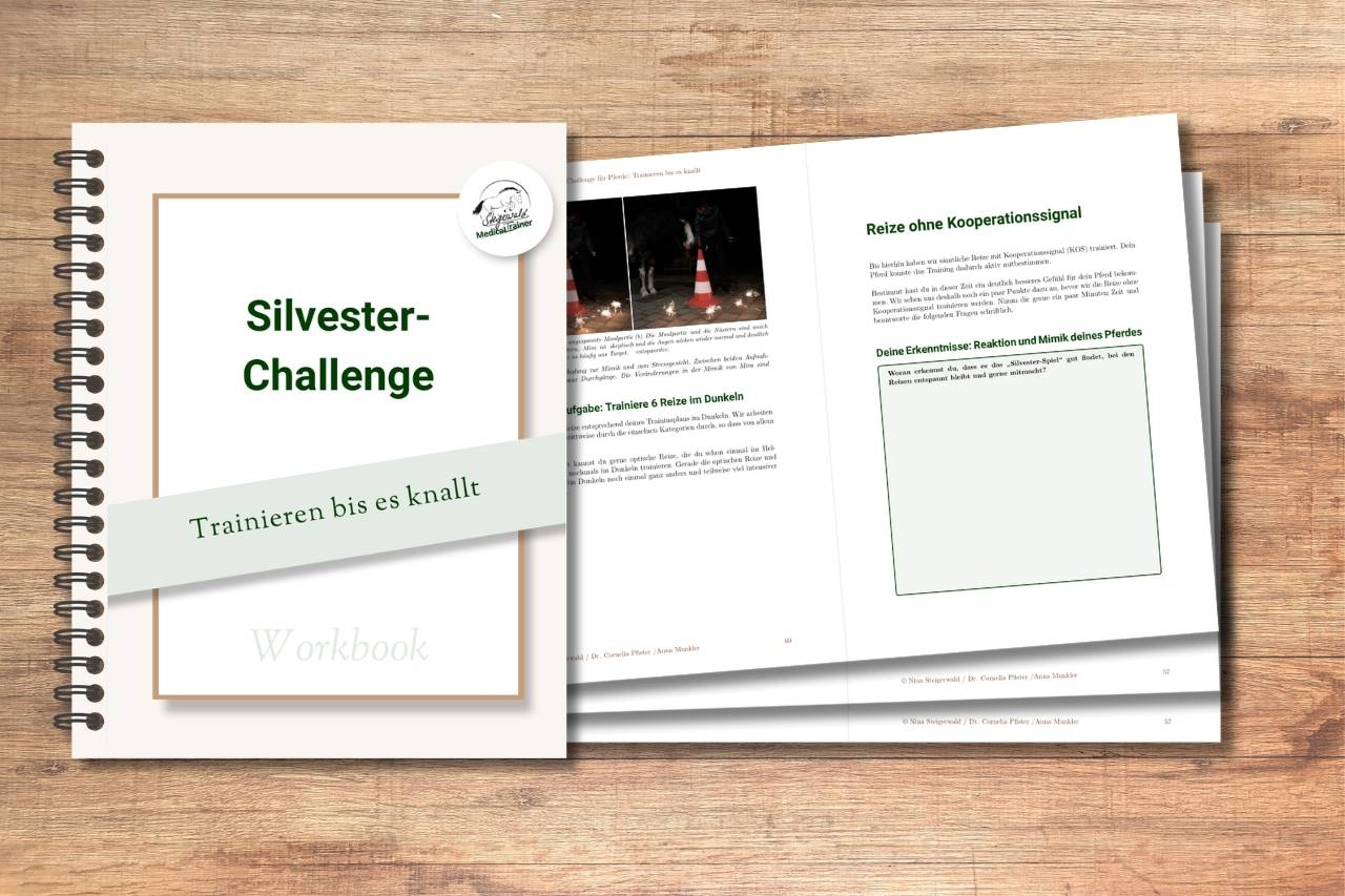 Silvester-Challenge, Mockup vom Workbook, Sivlestertraining, Gelassenheitstraining, Nerventraining mit Pferd.