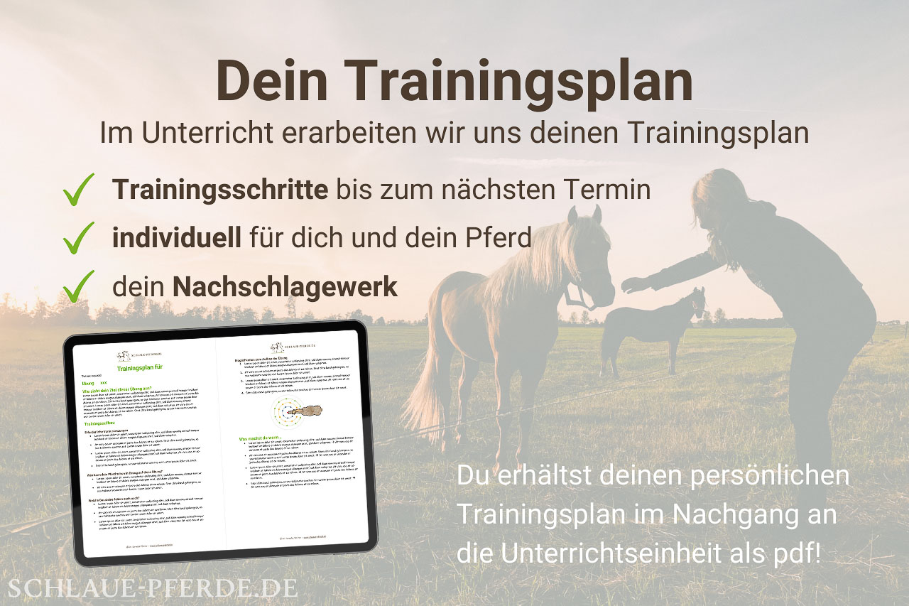 Trainingsplan Pferdetraining - Clickertraining erstellen - Mockup mit Vorteilen