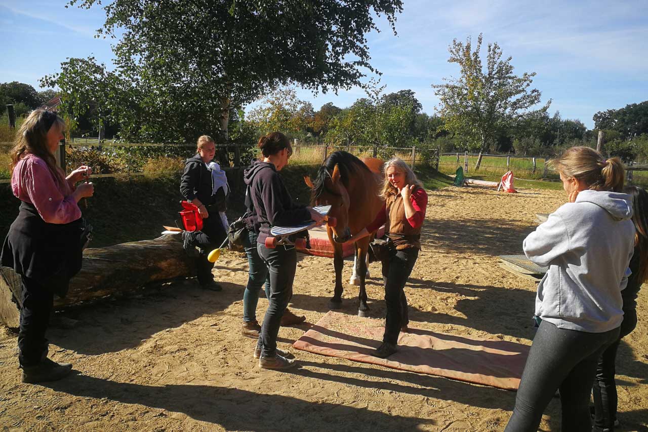 Trainingsspezialist Pferd mit Nina Steigerwald