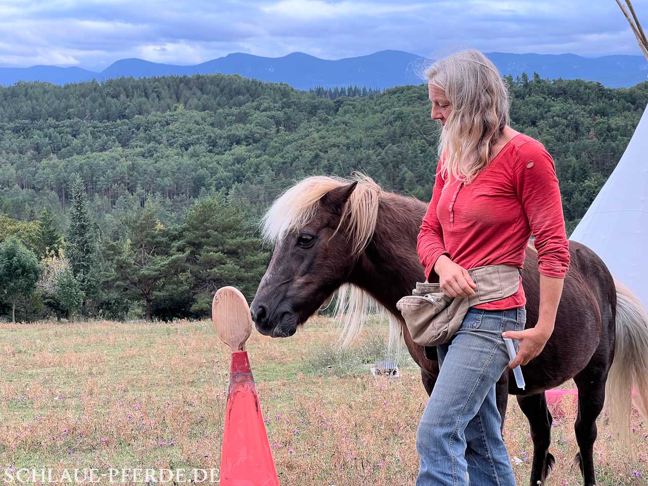 Wurmkur mit Pferd, Nina Steigerwald